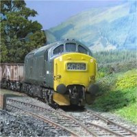 The model pages